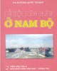 Ebook Lễ hội dân gian của người Việt ở Nam Bộ: Phần 2