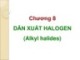 Bài giảng Hóa hữu cơ: Chương 8 - Dẫn xuất halogen (Alkyl halides)