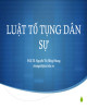 Bài giảng Luật tố tụng dân sự: Chương 1 - PGS.TS. Nguyễn Thị Hồng Nhung