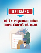 Bài giảng Xử lý vi phạm hành chính trong lĩnh vực hải quan (70 trang)