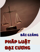 Bài giảng Pháp luật đại cương: Chương 3 - ThS. Nguyễn Ngọc Thảo Phương